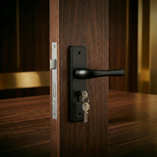 Door Handle - Full Plate Round