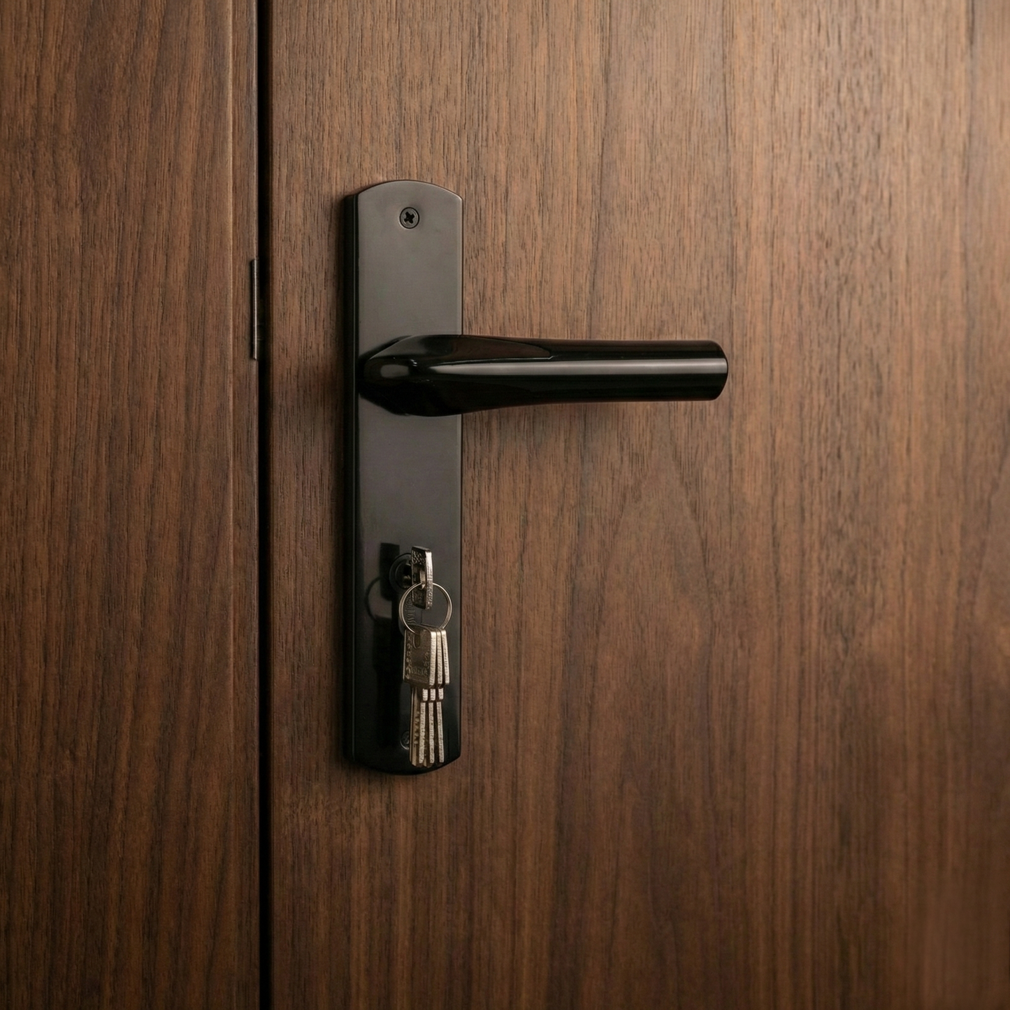 Door Handle - Full Plate Sleek